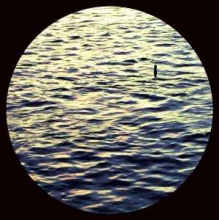 Ant Orange - Right Here