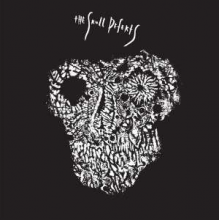 Skull Defekts - Skull Defekts