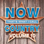 V/A - Now That's What I Call Country Vol.10