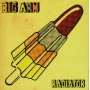 Big Arm - Radiator