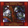 Glass - Juniper Tree