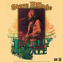 Hillage, Steve - Live At Deeply Vale