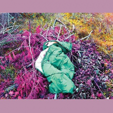 Dreamdecay - N V N V N V
