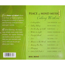 V/A - Peace of Mind Music 1