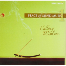 V/A - Peace of Mind Music 1