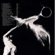 Dedekind Cut - Tahoe