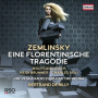Zemlinsky, A. von - A Florentine Tragedy