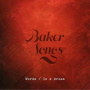 Bakersongs - Words / In a Dream