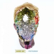 Harms Way - Posthuman
