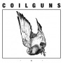 Coilguns - A & B (2011-2012)
