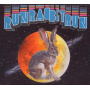 Stevens, Sufjan/Osso - Run Rabbit Run