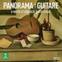 Various - Panorama De La Guitare
