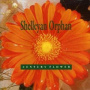 Shelleyan Orphan - Century Flower