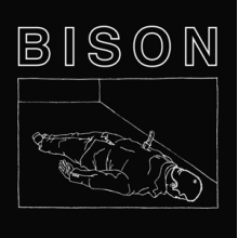 Bison - One Thousand Needles