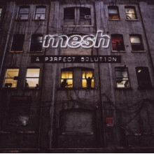 Mesh - A Perfect Solution