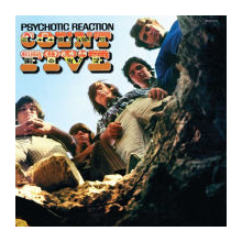 Count Five - Psychotic Reaction