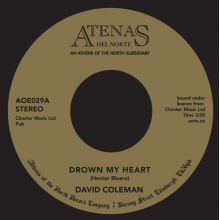 Coleman, David - Drown My Heart