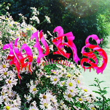 Hirs Collective - Friends Lovers Favorites