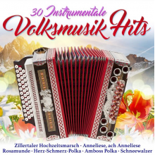 V/A - 30 Instrumentale Volksmusik Hits