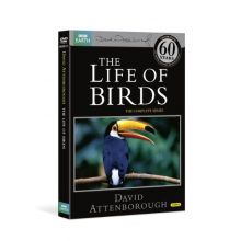 Documentary - Life of Birds