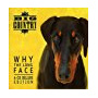 Big Country - Why the Long Face