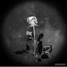 Ryszard Kramarski Project - Music Inspired By the Little Prince