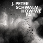 Schwalm, J. Peter - How We Fall
