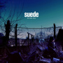 Suede - Blue Hour