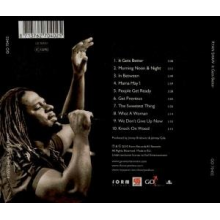 Shaw, Ryan - It Gets Better