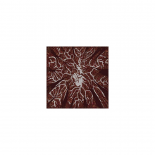 Trash Boat - Crown Shyness