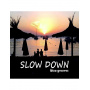 Various - Slow Down - Ibiza Grooves