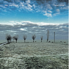 Yearlings - Skywriting