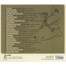 V/A - Cat Fight Vol.5 - Miss Shake It