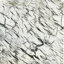 Abrams, Joshua & Natural Information Society - Excavations 1