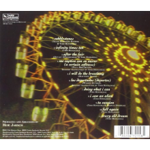 Hinojosa, Tish - After the Fair