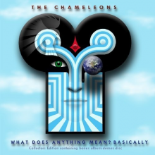 Chameleons - What Does Anything Mean? Basically