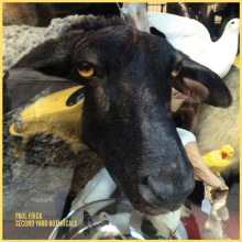 Frick, Paul - Second Yard Botanicals