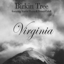Birkin Tree - Virginia
