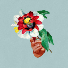 Maribou State - Kingdoms In Colour
