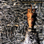 Siouxsie and the Banshees - Juju