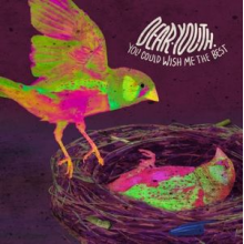 Dear Youth - You Could Wish Me the Best