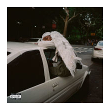 Blood Orange - Negro Swan