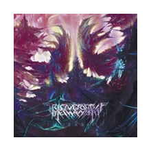 Irreversible Mechanism - Immersion