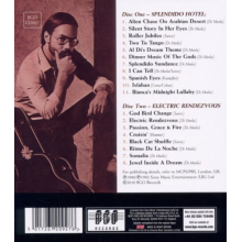 Di Meola, Al - Splendido Hotel/Electric Rendevous
