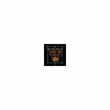 Amebix - Slovenia 86