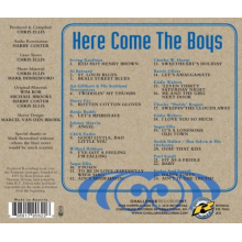 V/A - Here Come the Boys