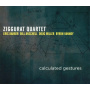 Ziggurat -Quartet- - Calculated Gestures