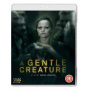 Movie - Gentle Creature