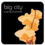 Big City - A Spring of Summers
