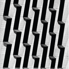 Snow Palms - Everything Ascending